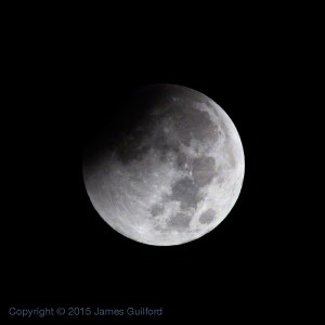 Photo: Partial Phase of Oct. 8, 2014 Lunar Eclipse. Photo by James Guilford.