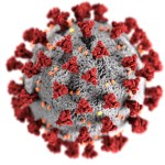 COVID-19 coronavirus - Image Credit: CDC 